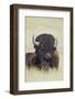 Buffalo-DLILLC-Framed Photographic Print