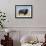 Buffalo-DLILLC-Framed Photographic Print displayed on a wall