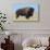 Buffalo-DLILLC-Photographic Print displayed on a wall