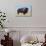 Buffalo-DLILLC-Photographic Print displayed on a wall