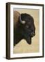 Buffalo-DLILLC-Framed Photographic Print