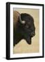 Buffalo-DLILLC-Framed Photographic Print