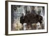 Buffalo-Marta Wiley-Framed Art Print