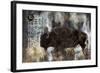 Buffalo-Marta Wiley-Framed Art Print