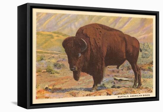 Buffalo-null-Framed Stretched Canvas