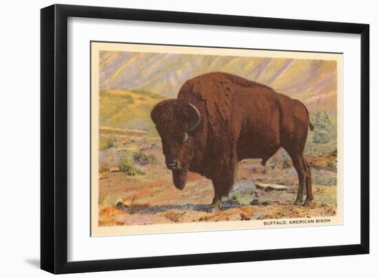 Buffalo-null-Framed Art Print