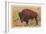 Buffalo-null-Framed Art Print