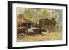 Buffalo-Tim Scott Bolton-Framed Giclee Print