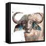 Buffalo-Victoria Brown-Framed Stretched Canvas