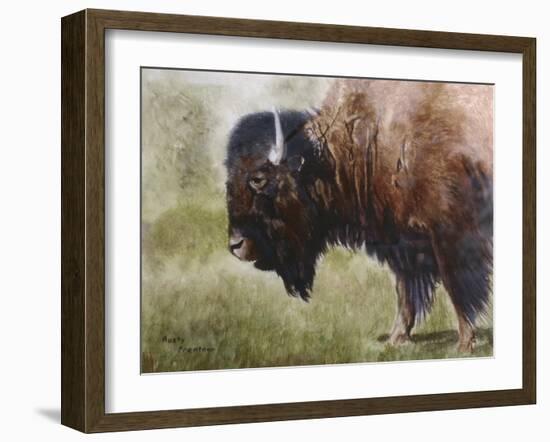 Buffalo-Rusty Frentner-Framed Giclee Print