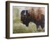 Buffalo-Rusty Frentner-Framed Giclee Print