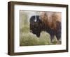 Buffalo-Rusty Frentner-Framed Giclee Print