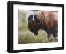 Buffalo-Rusty Frentner-Framed Giclee Print