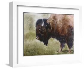 Buffalo-Rusty Frentner-Framed Giclee Print