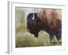 Buffalo-Rusty Frentner-Framed Giclee Print