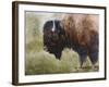 Buffalo-Rusty Frentner-Framed Giclee Print