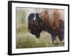 Buffalo-Rusty Frentner-Framed Giclee Print