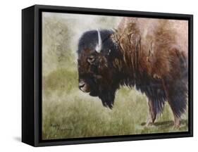 Buffalo-Rusty Frentner-Framed Stretched Canvas