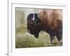 Buffalo-Rusty Frentner-Framed Giclee Print