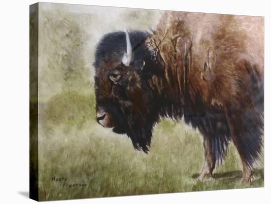 Buffalo-Rusty Frentner-Stretched Canvas