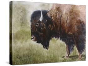 Buffalo-Rusty Frentner-Stretched Canvas