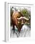 Buffalo-Susan Cartwright-Framed Giclee Print