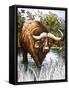 Buffalo-Susan Cartwright-Framed Stretched Canvas