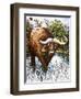 Buffalo-Susan Cartwright-Framed Giclee Print