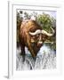 Buffalo-Susan Cartwright-Framed Giclee Print