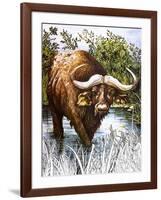 Buffalo-Susan Cartwright-Framed Giclee Print