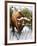 Buffalo-Susan Cartwright-Framed Giclee Print