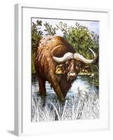 Buffalo-Susan Cartwright-Framed Giclee Print