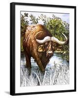 Buffalo-Susan Cartwright-Framed Giclee Print