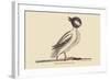 Buffed Head Duck-Mark Catesby-Framed Art Print