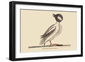 Buffed Head Duck-Mark Catesby-Framed Art Print