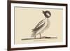 Buffed Head Duck-Mark Catesby-Framed Art Print