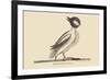 Buffed Head Duck-Mark Catesby-Framed Art Print