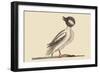 Buffed Head Duck-Mark Catesby-Framed Art Print