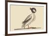 Buffed Head Duck-Mark Catesby-Framed Premium Giclee Print