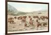 Bufffalo Herd, Yellowstone National Park-null-Framed Art Print