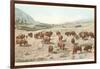 Bufffalo Herd, Yellowstone National Park-null-Framed Art Print