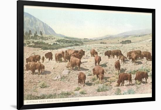 Bufffalo Herd, Yellowstone National Park-null-Framed Art Print