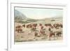 Bufffalo Herd, Yellowstone National Park-null-Framed Premium Giclee Print