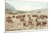 Bufffalo Herd, Yellowstone National Park-null-Mounted Premium Giclee Print