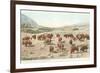 Bufffalo Herd, Yellowstone National Park-null-Framed Art Print