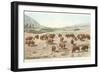 Bufffalo Herd, Yellowstone National Park-null-Framed Art Print