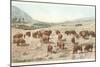 Bufffalo Herd, Yellowstone National Park-null-Mounted Art Print