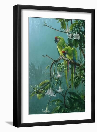 Buffons Macaws-Michael Jackson-Framed Premium Giclee Print