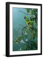 Buffons Macaws-Michael Jackson-Framed Giclee Print