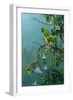 Buffons Macaws-Michael Jackson-Framed Giclee Print